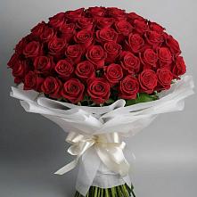 Букет 101 Красная роза Блэк Мэджик #REPLACE_PRED# Центральный