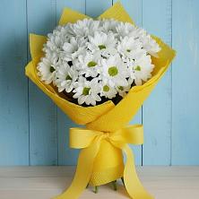 Букет цветов из:  Хризантемы в Центральный