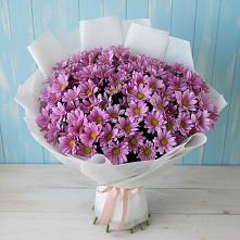 Букет цветов из:  Хризантемы в Центральный
