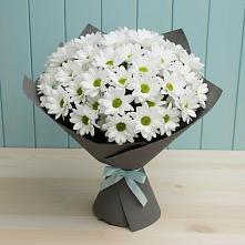 Букет цветов из:  Хризантемы в Центральный