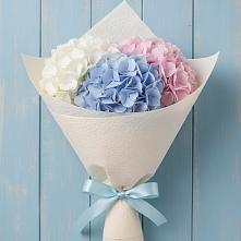 Букет цветов из:  Гортензия в Центральный