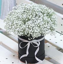 Цветочная композиция из Гипсофила в шляпной коробке #REPLACE_PRED# Центральный