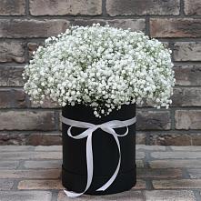 Цветочная композиция из Гипсофила в шляпной коробке #REPLACE_PRED# Центральный