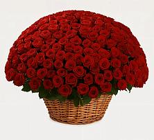 Премиум букет из: Розы #REPLACE_PRED# Центральный